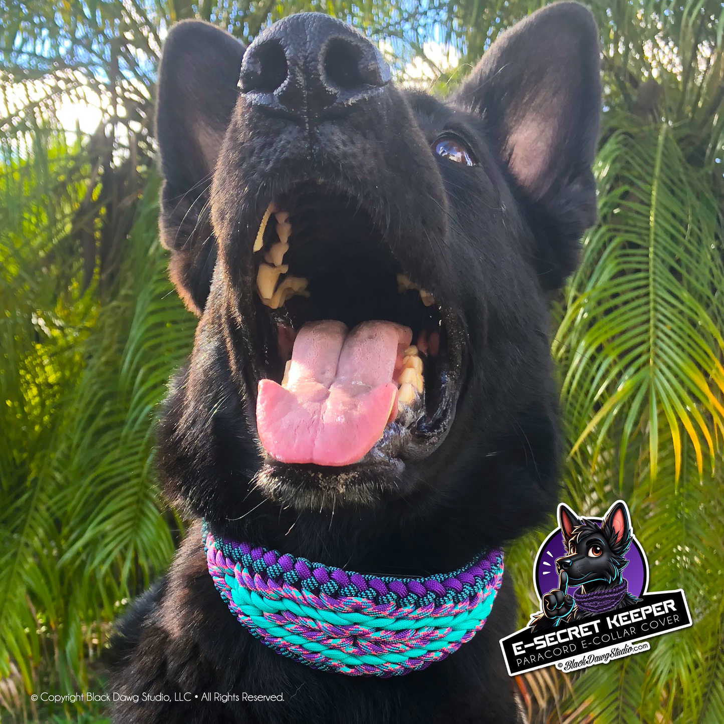 e-Secret Keeper Paracord Collar - Electric/Remote Training Collar Cover ***CUSTOM ORDER***