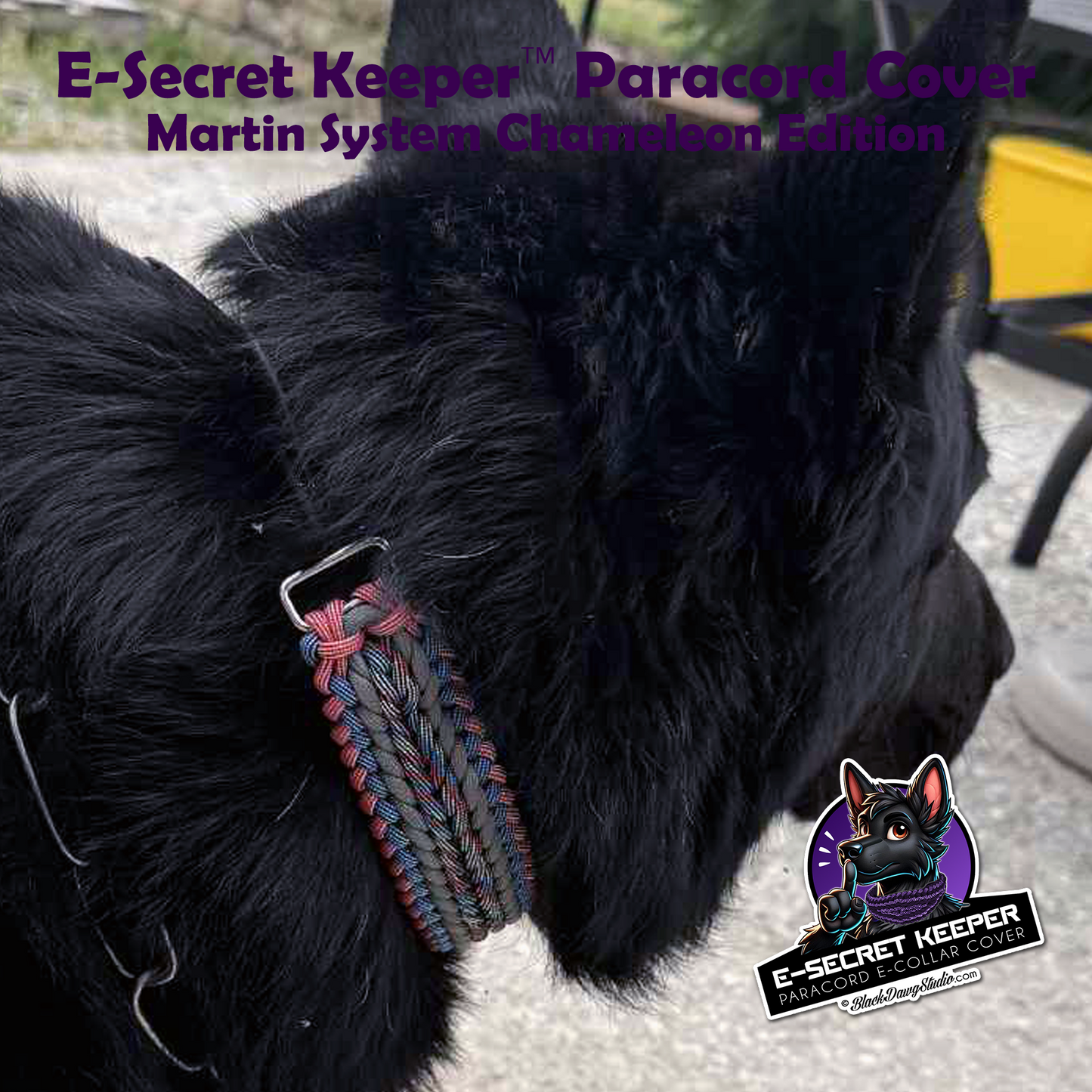 e-Secret Keeper Paracord Collar - Martin System Chameleon Edition ***CUSTOM ORDER***