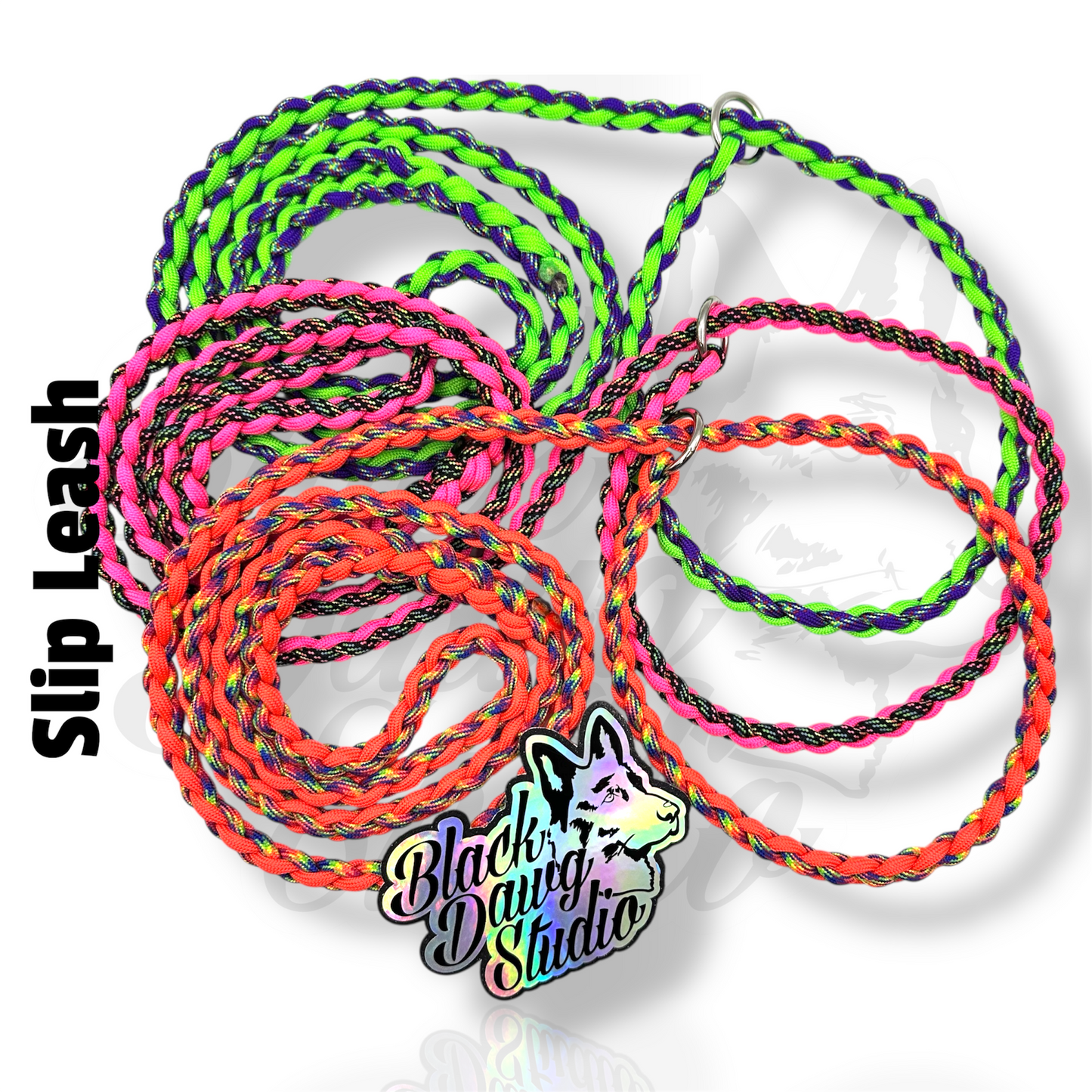 Paracord Slip Leash