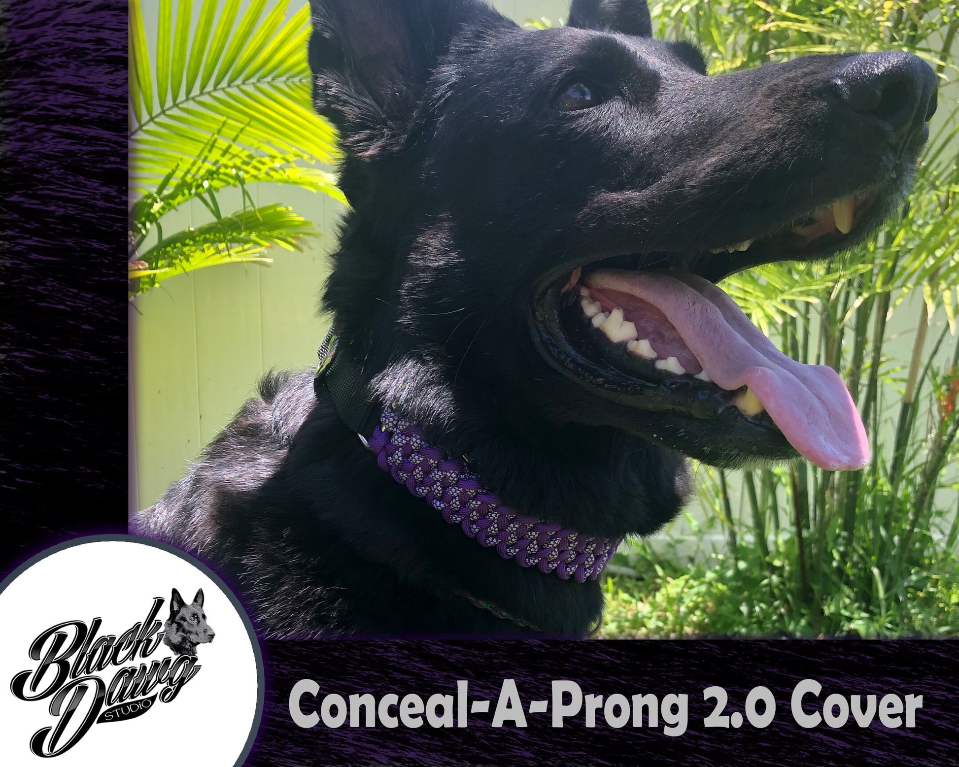Conceal-A-Prong 2.0 - Paracord Prong Collar Cover - 7 Links in Plasma and Purple