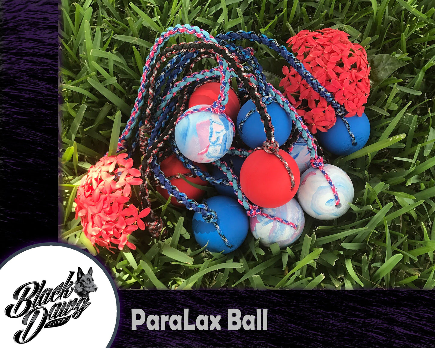 ParaLax Dog Training Ball with Braided Rope