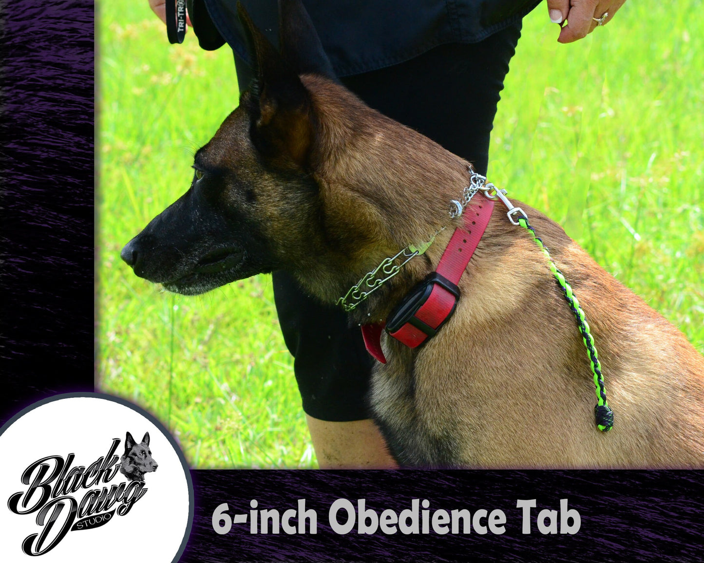 6-inch Paracord Dog Obedience Tab