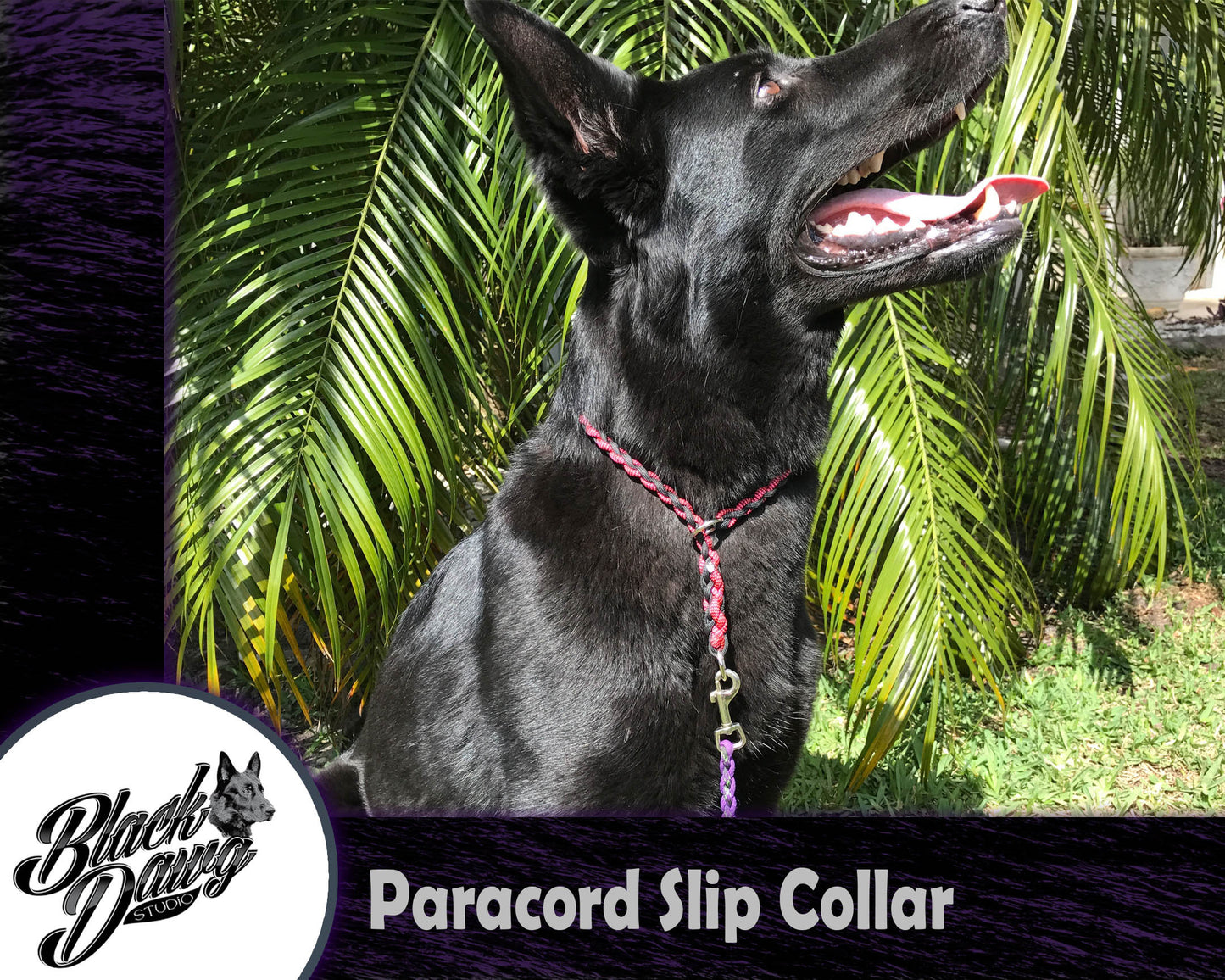 Paracord Slip Collar ***Custom Order***
