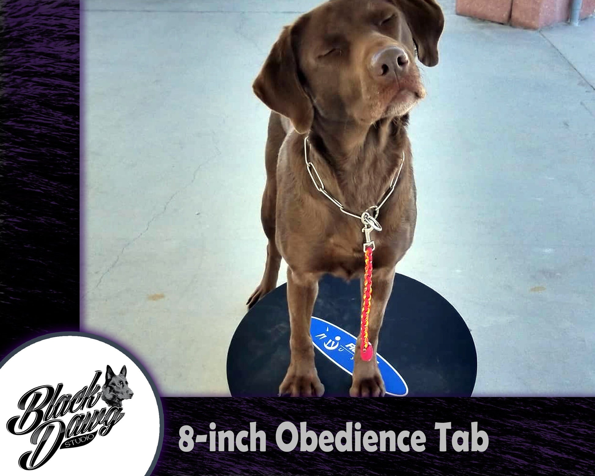8-inch Paracord Dog Obedience Tab