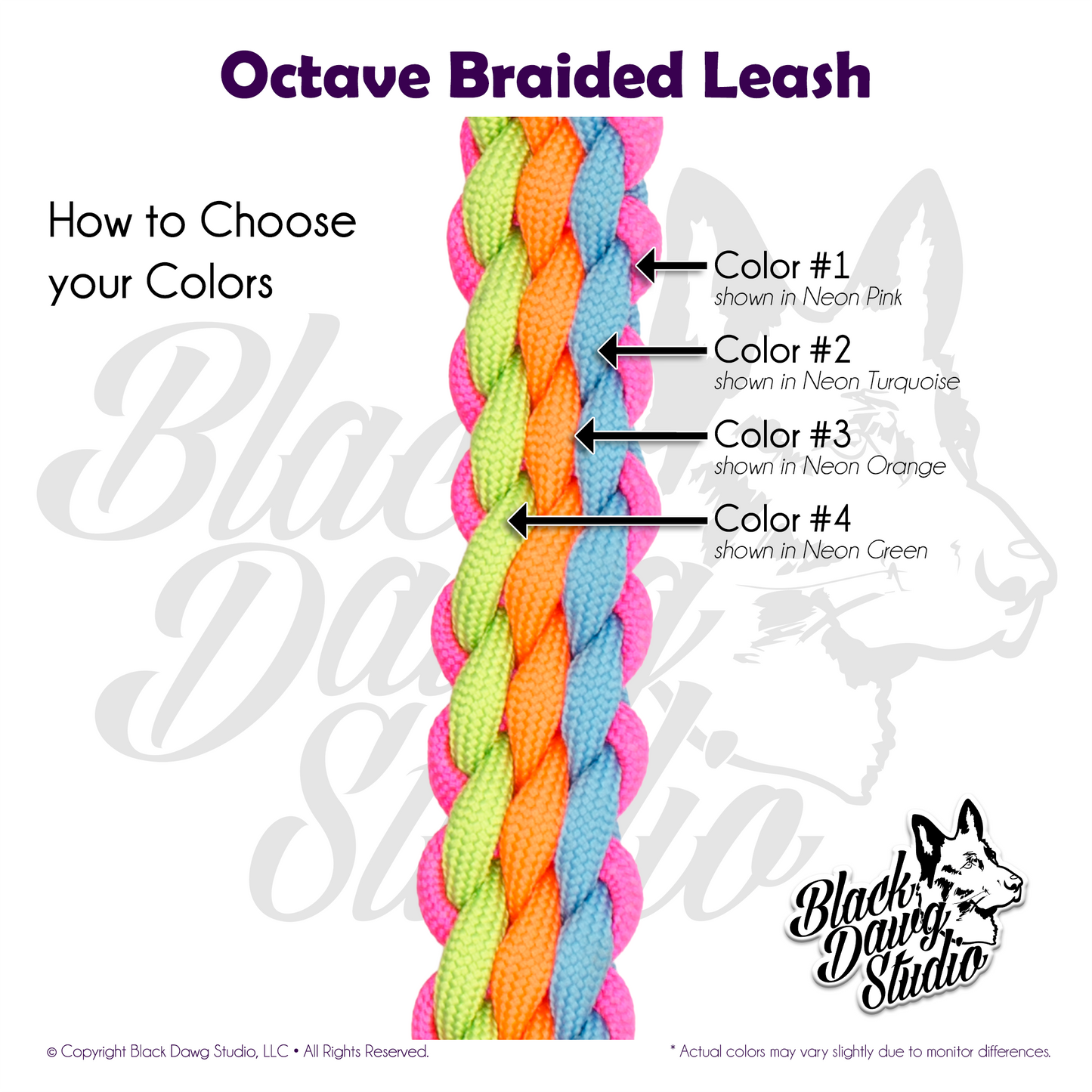 Octave Braid Paracord Dog Leash ***CUSTOM ORDER***