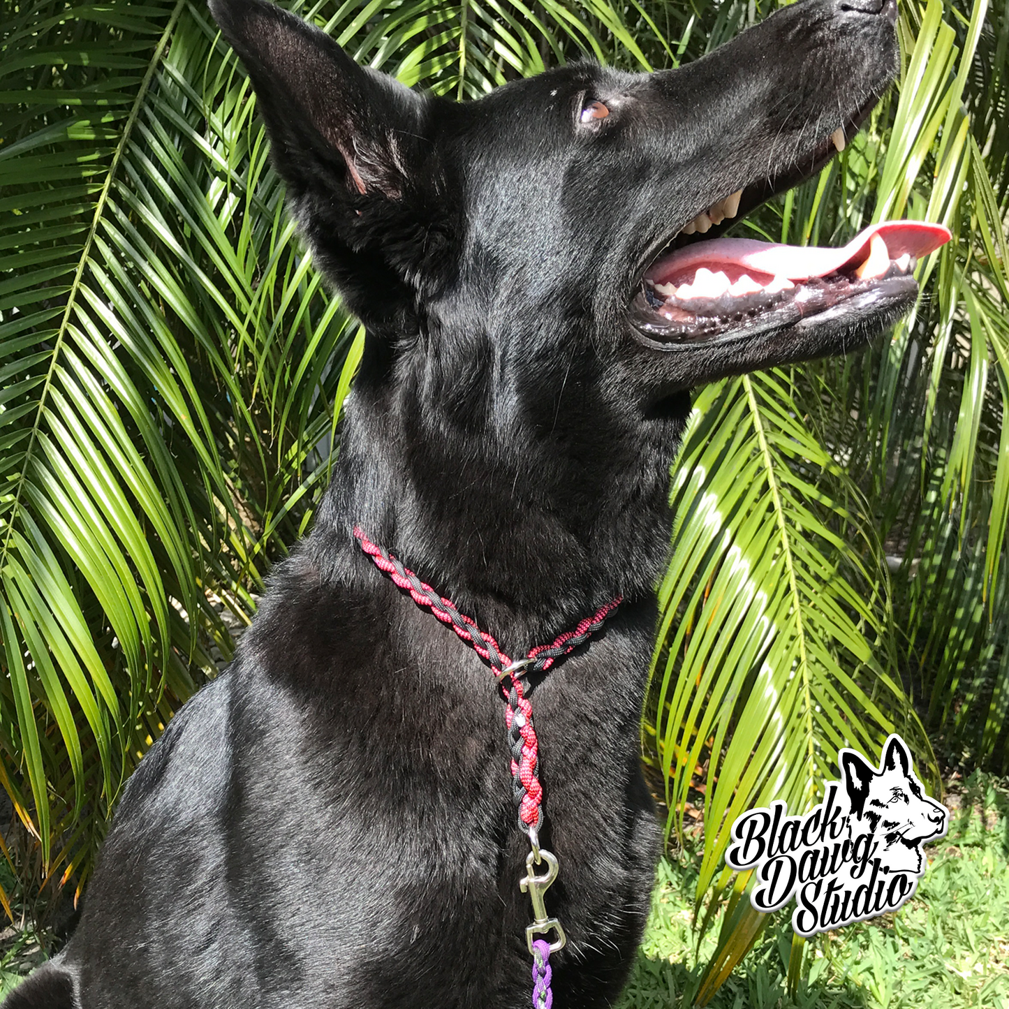 Paracord Slip Collar ***Custom Order***