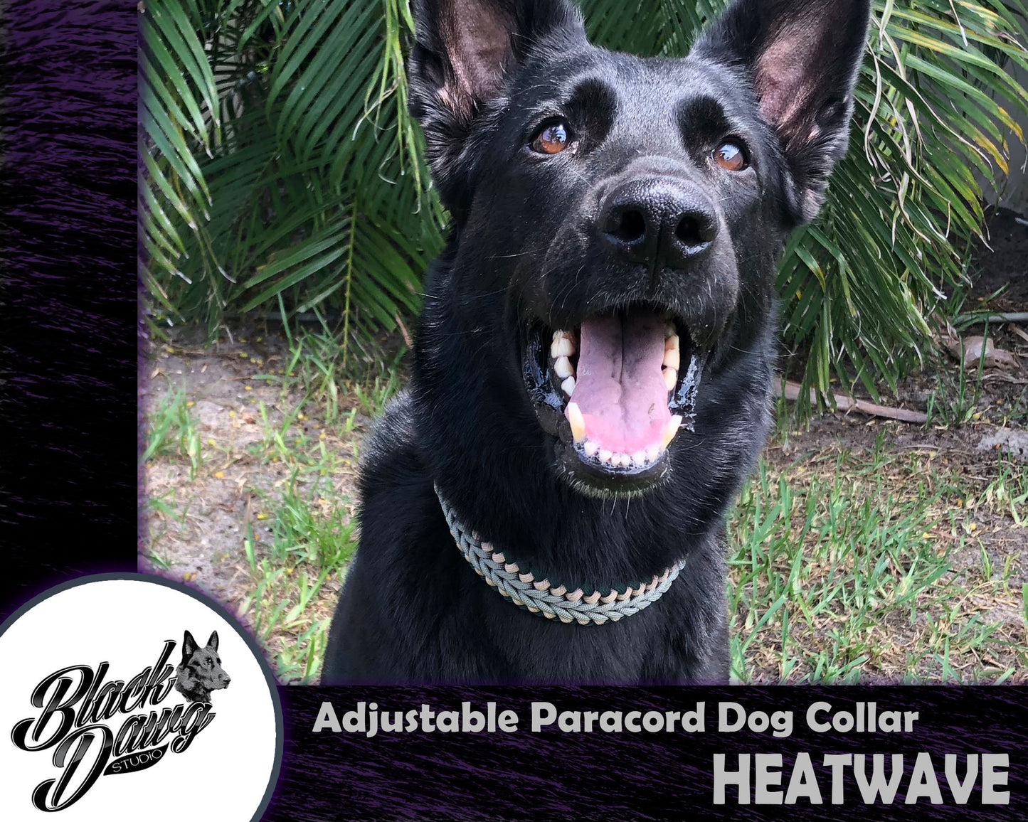 Heatwave Design Adjustable Paracord Dog Collar ***CUSTOM ORDER***